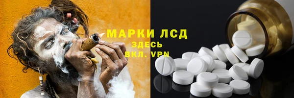 ешки Бородино
