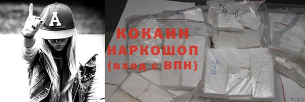 ешки Бородино