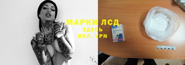 ешки Бородино