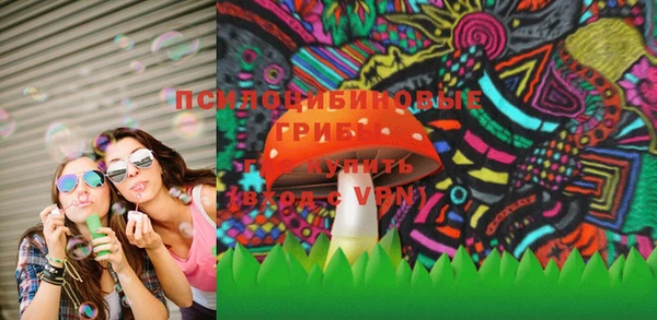 эйфоретик Богданович
