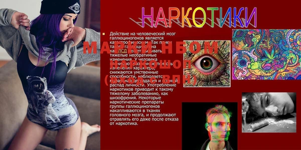 дурь Бронницы