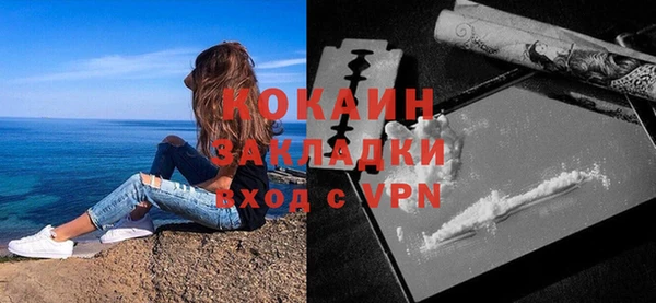 дурь Бронницы