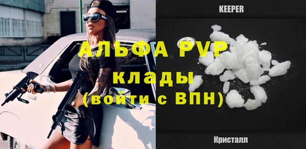 эйфоретик Богданович