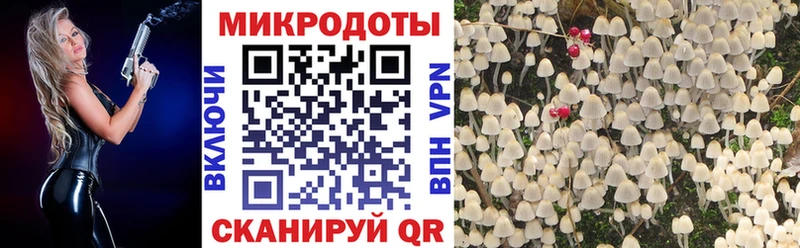 Галлюциногенные грибы прущие грибы  мориарти Telegram  Можайск 
